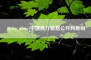 安庆中国执行信息公开网查询