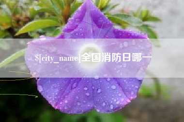 安庆全国消防日哪一