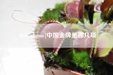 安庆中国金牌是哪几项
