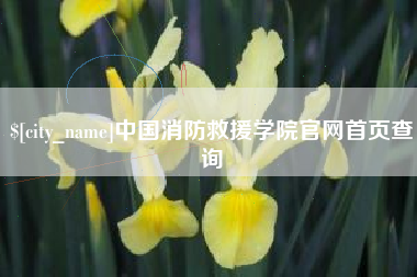安庆中国消防救援学院官网首页查询