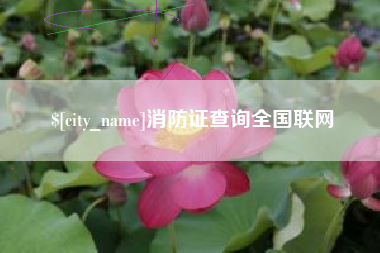 安庆消防证查询全国联网
