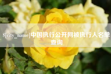 安庆中国执行公开网被执行人名单查询