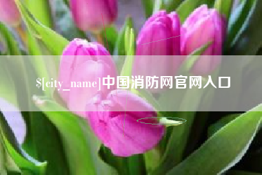 安庆中国消防网官网入口