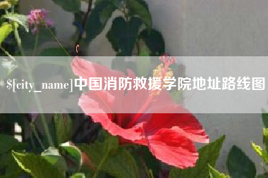 安庆中国消防救援学院地址路线图