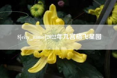 安庆2022年九宫格飞星图