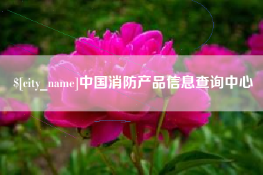 安庆中国消防产品信息查询中心