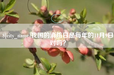 安庆我国的消防日是每年的11月9日对吗？