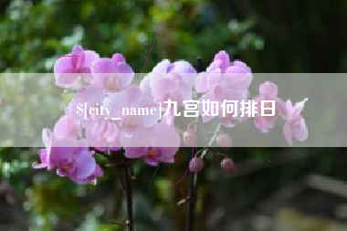 安庆九宫如何排日