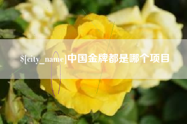 安庆中国金牌都是哪个项目