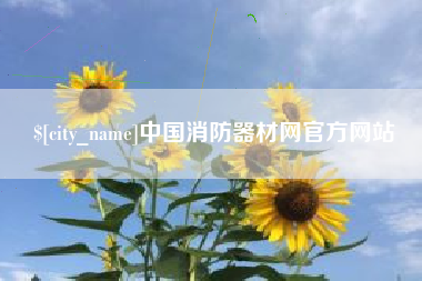 安庆中国消防器材网官方网站