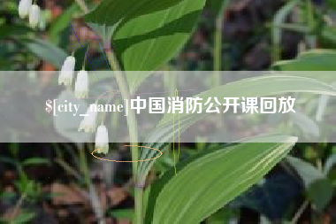 安庆中国消防公开课回放