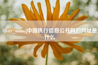 安庆中国执行信息公开网的网址是什么