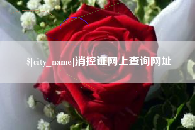 安庆消控证网上查询网址