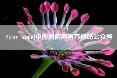 安庆中国消防网官方网站公众号