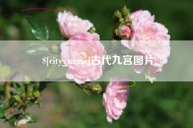 安庆古代九宫图片
