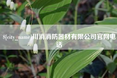 安庆川消消防器材有限公司官网电话