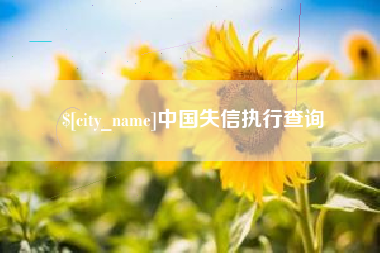 安庆中国失信执行查询