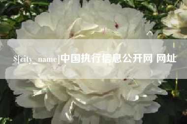 安庆中国执行信息公开网 网址