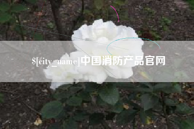 安庆中国消防产品官网