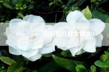 安庆中国的几块金牌2021