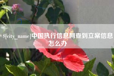 安庆中国执行信息网查到立案信息怎么办