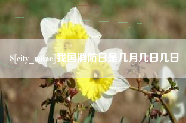 安庆我国消防日是几月几日几日