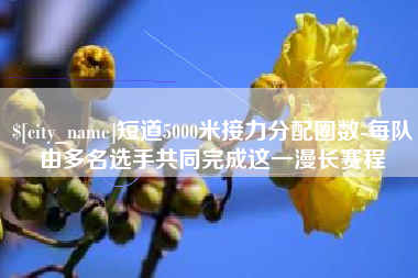 安庆短道5000米接力分配圈数-每队由多名选手共同完成这一漫长赛程
