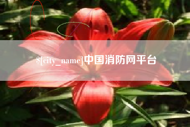 安庆中国消防网平台