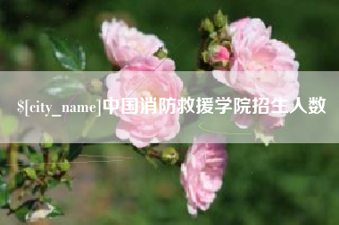 安庆中国消防救援学院招生人数