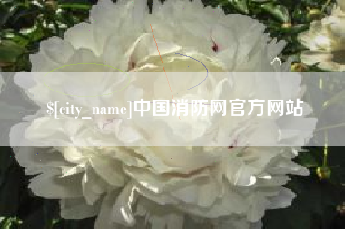 安庆中国消防网官方网站