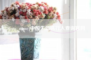 安庆中国失信执行人查询官网