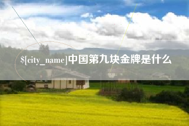 安庆中国第九块金牌是什么