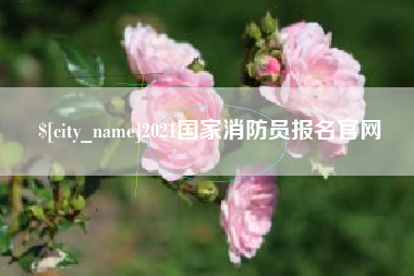 安庆2021国家消防员报名官网