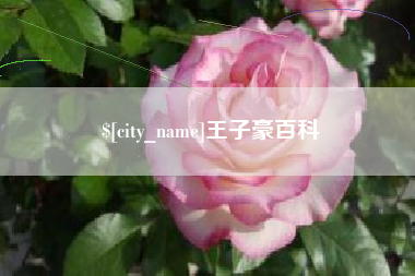 安庆王子豪百科