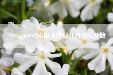 安庆我国消防日几月几号开始