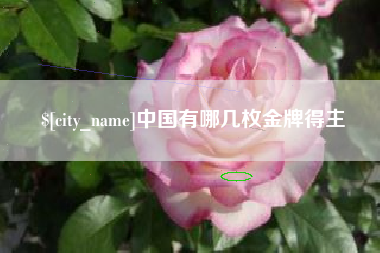 安庆中国有哪几枚金牌得主