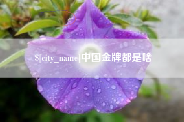 安庆中国金牌都是啥