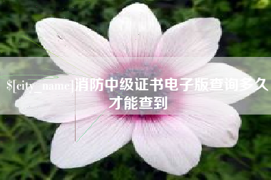 安庆消防中级证书电子版查询多久才能查到
