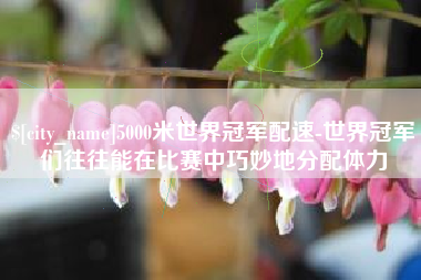 安庆5000米世界冠军配速-世界冠军们往往能在比赛中巧妙地分配体力