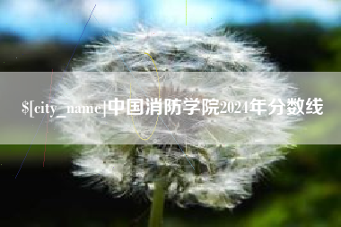 安庆中国消防学院2024年分数线