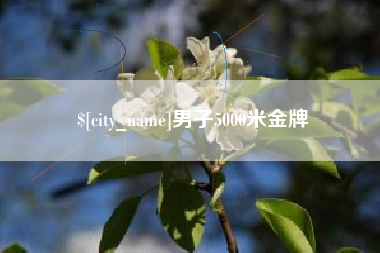 安庆男子5000米金牌