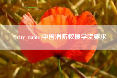 安庆中国消防救援学院要求