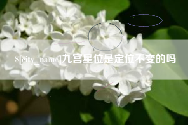 安庆九宫星位是定位不变的吗