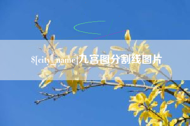 安庆九宫图分割线图片