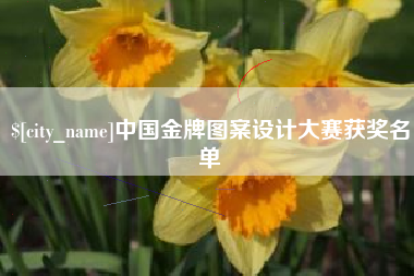 安庆中国金牌图案设计大赛获奖名单