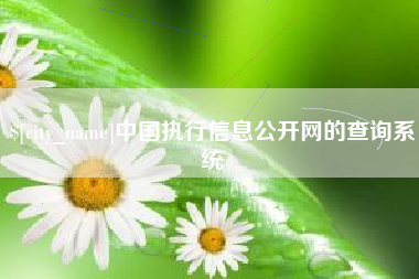 安庆中国执行信息公开网的查询系统