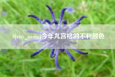 安庆今年九宫格的不利颜色