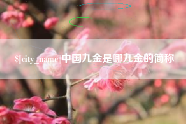 安庆中国九金是哪九金的简称