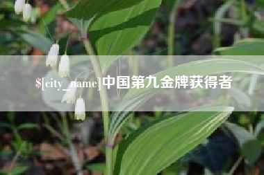 安庆中国第九金牌获得者