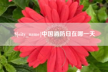 安庆中国消防日在哪一天